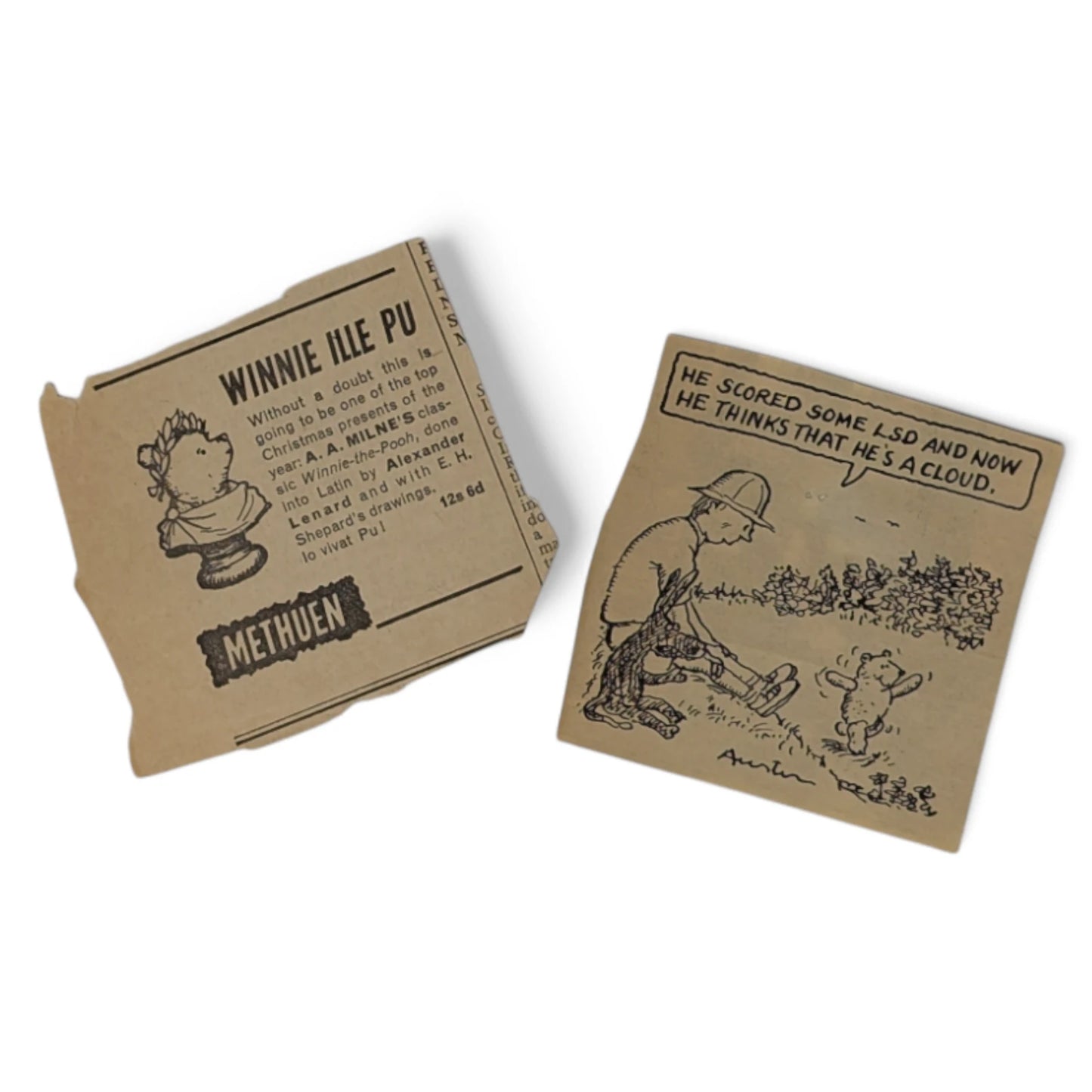 The House at Pooh Corner