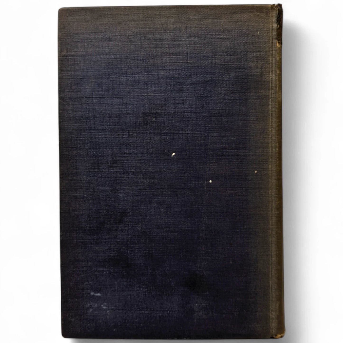 Shudders: A Collection of New Nightmarish Tales