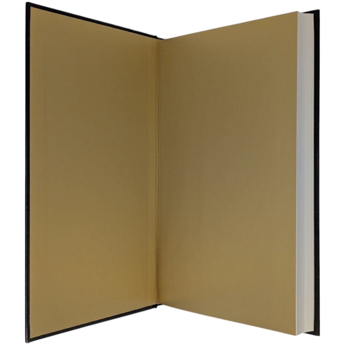 A Journal of the Plague Year