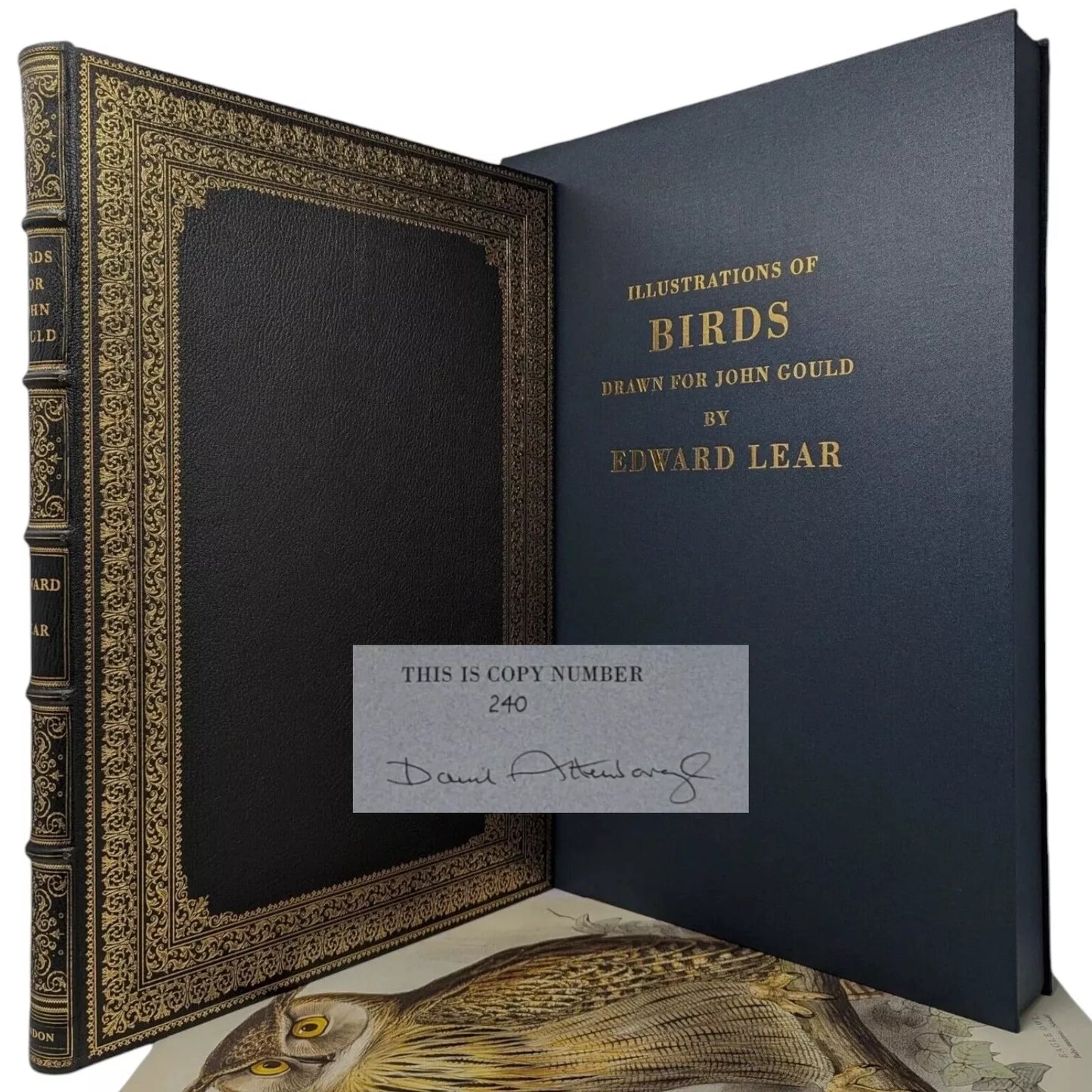 Illustrations of Birds Drawn for John Gould by Edward Lear (Numbered)