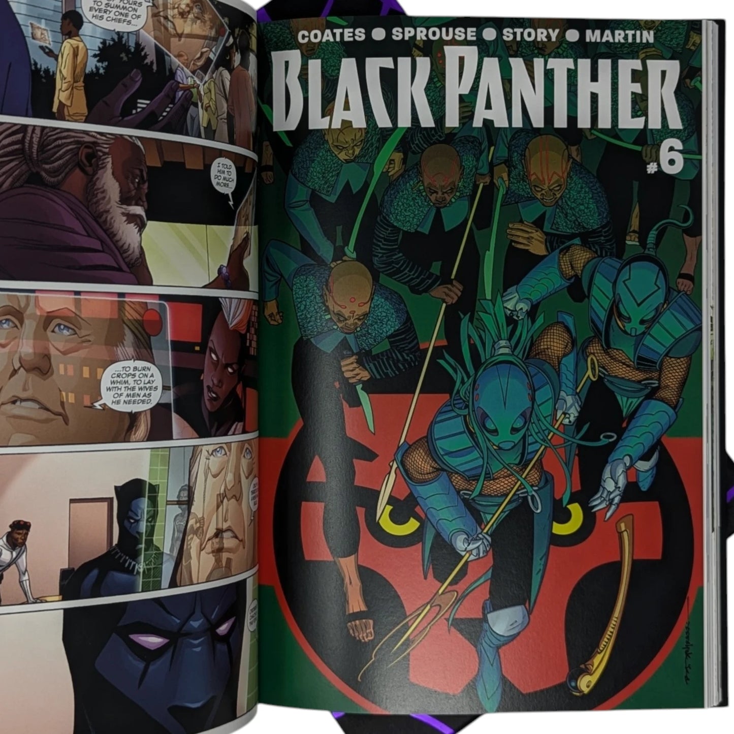Black Panther, A Nation Under Our Feet