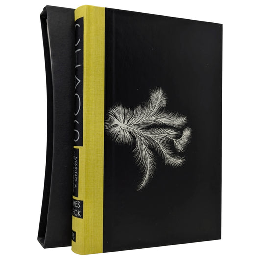 Chaos: Making a New Science