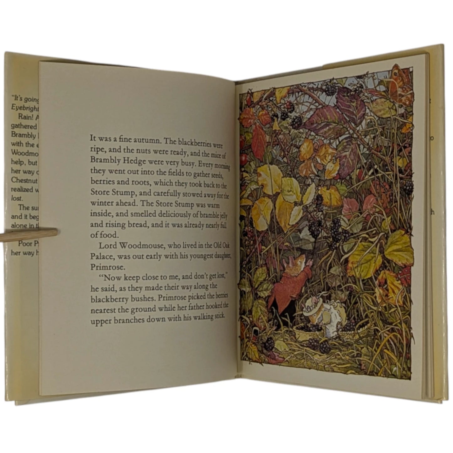 The Four Brambly Hedge Seasons