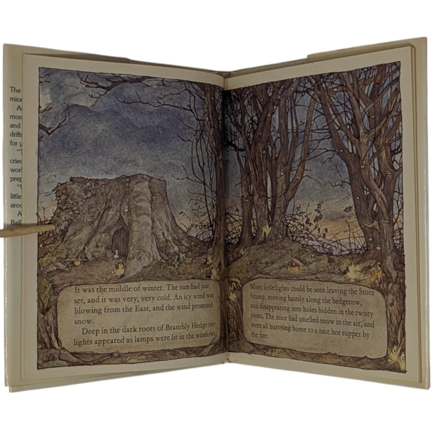 The Four Brambly Hedge Seasons