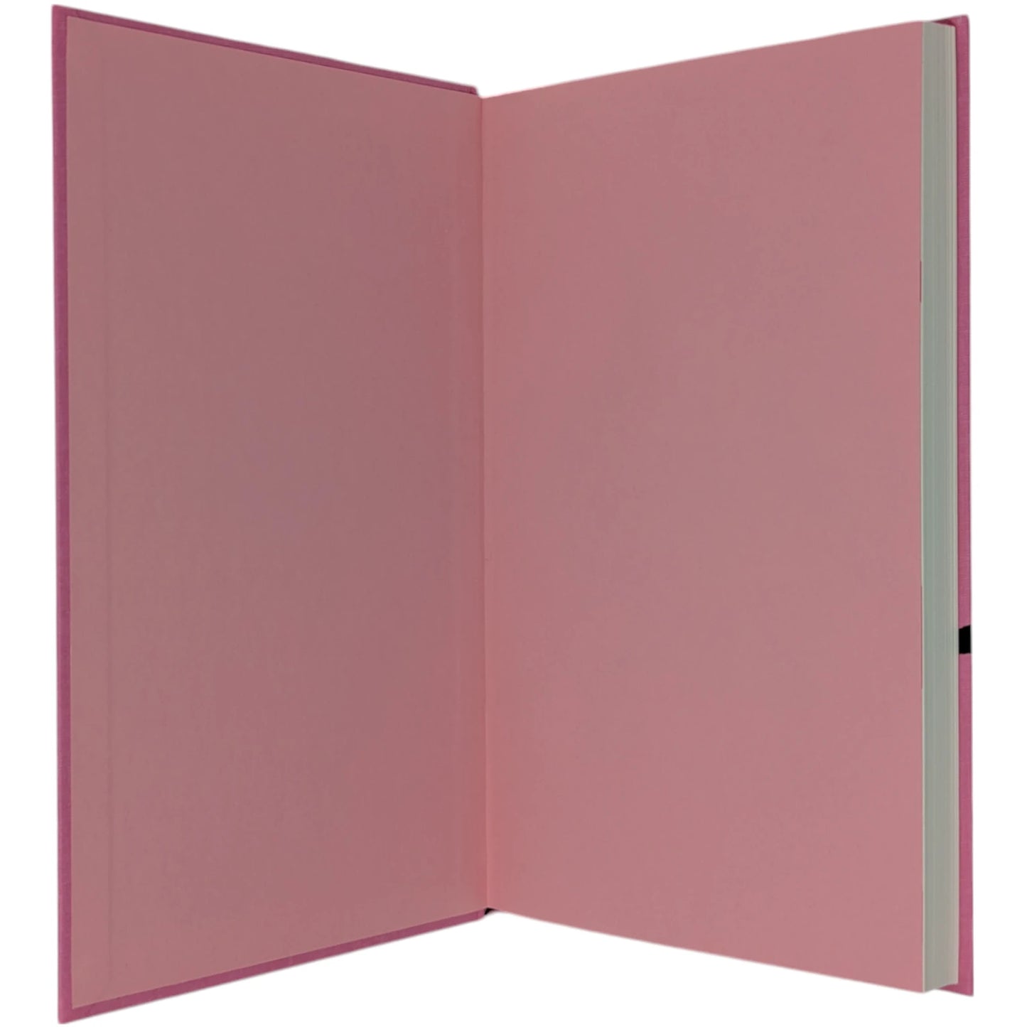 Gentlemen Prefer Blondes, The Illuminating Diary of a Professional Lady