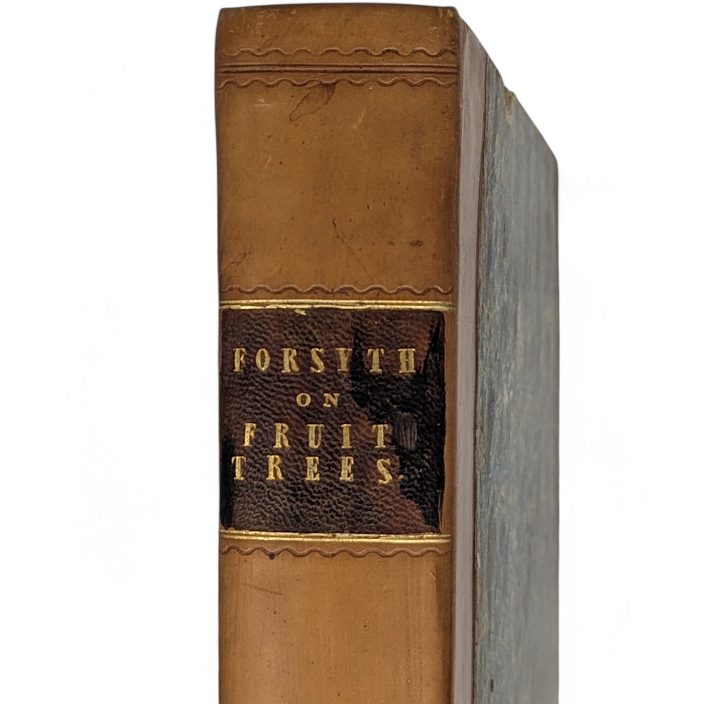 A Treatise On The Culture And Management Of Fruit-Trees