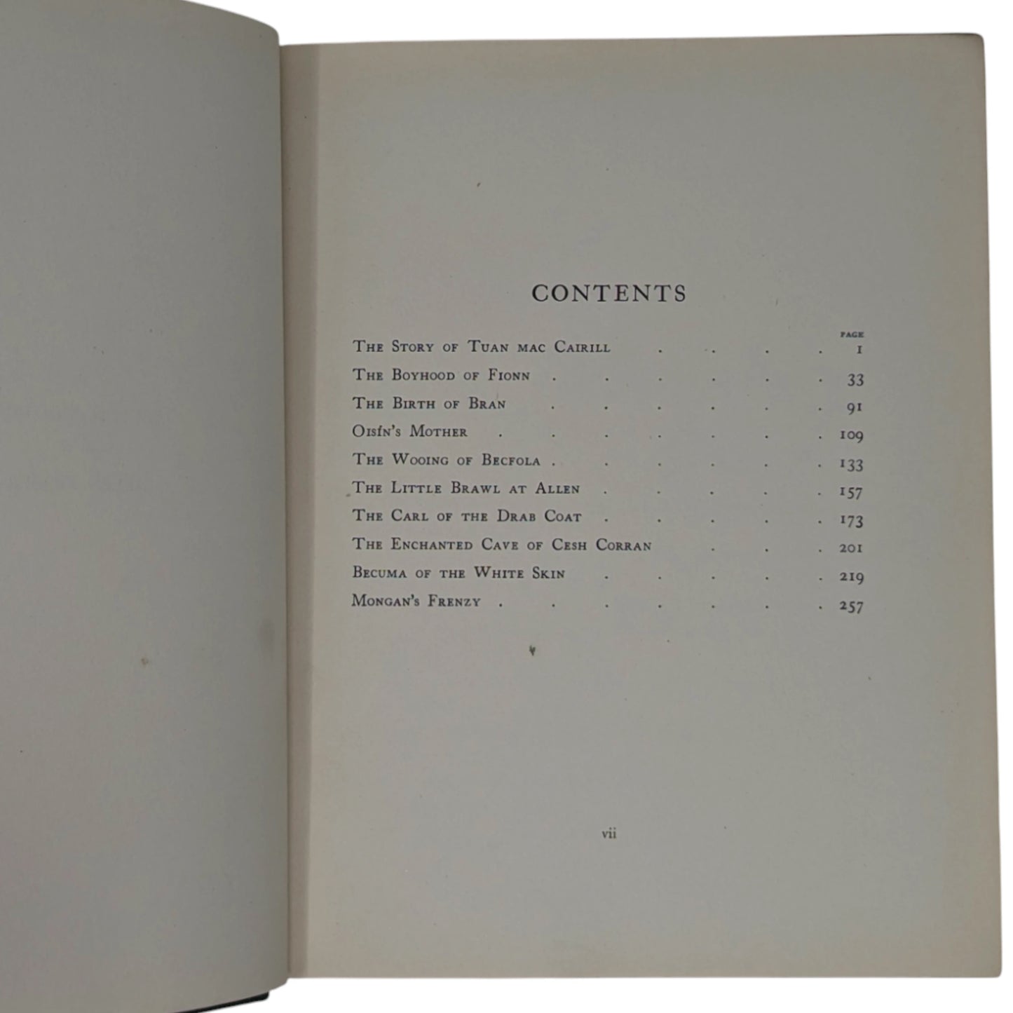 Irish Fairy Tales