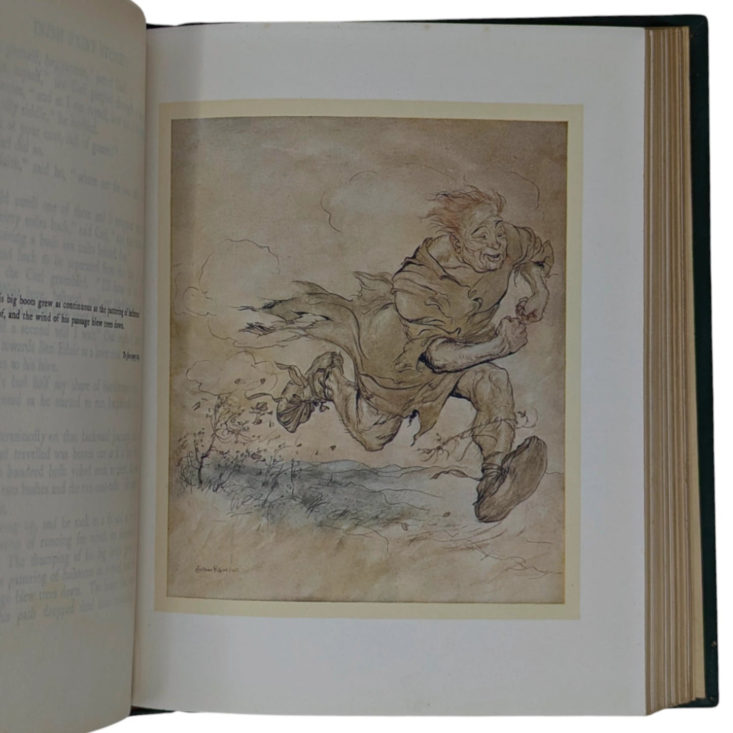 Irish Fairy Tales