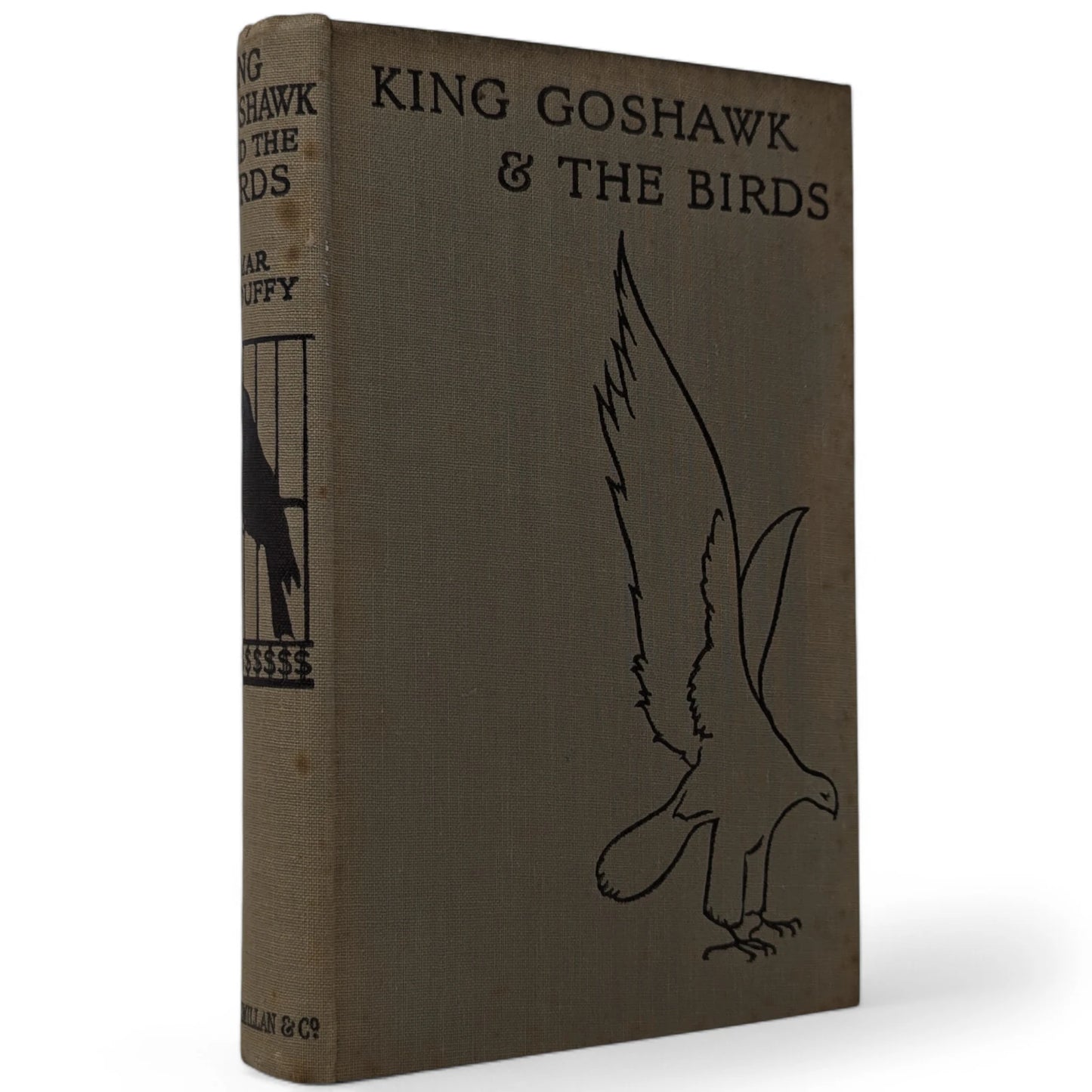 King Goshawk and the Birds