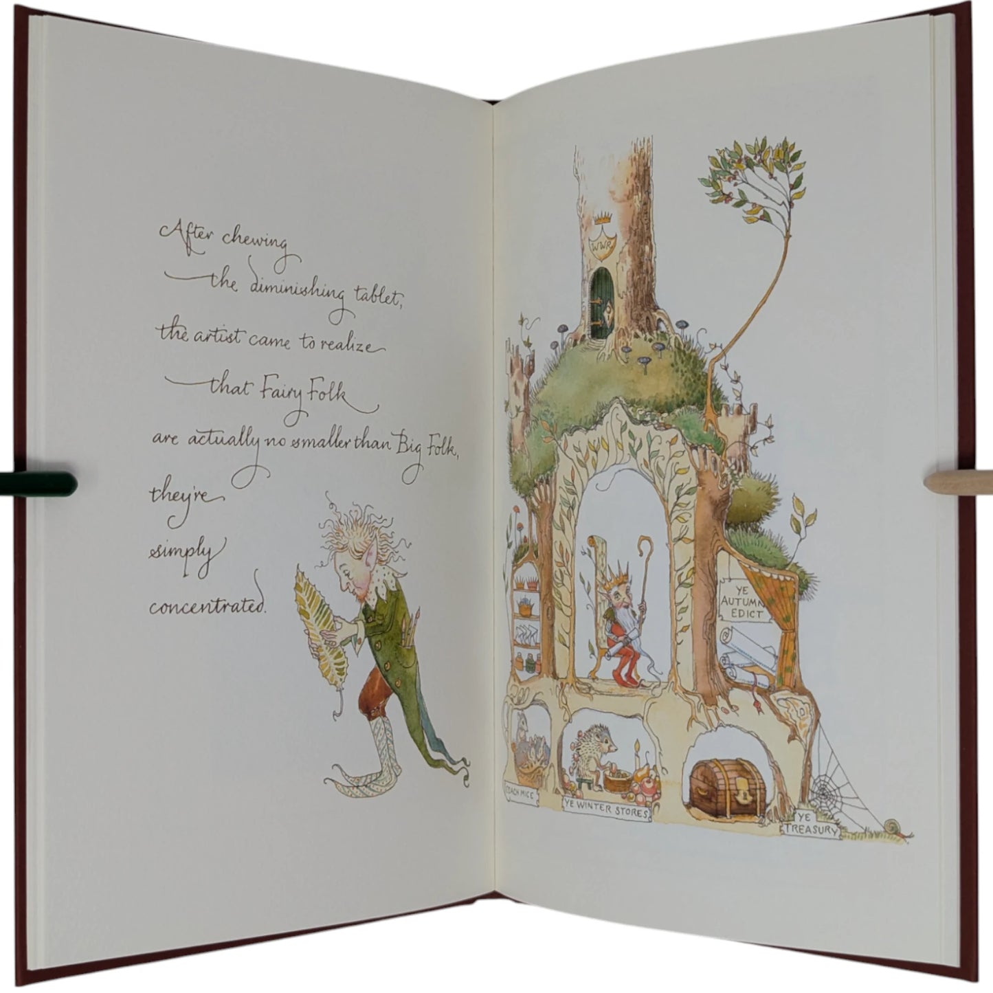 Letters from Fairyland