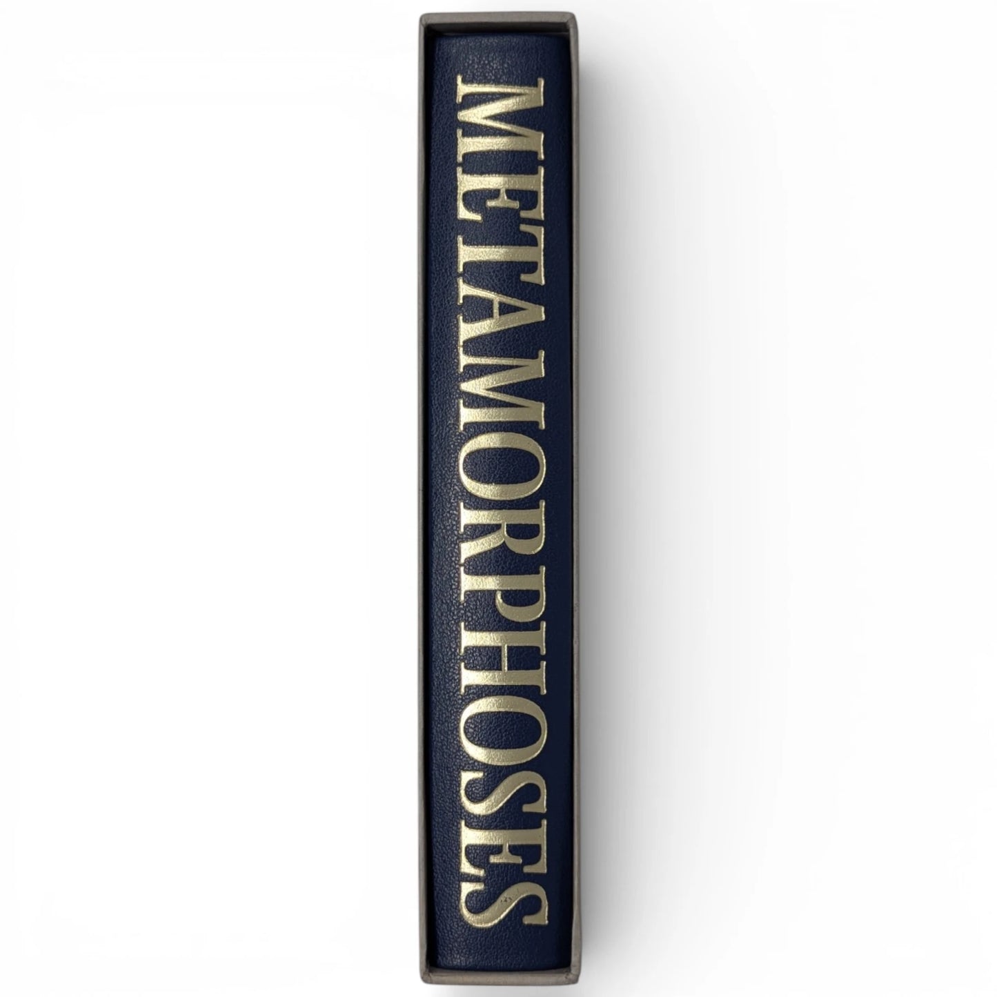 Metamorphoses