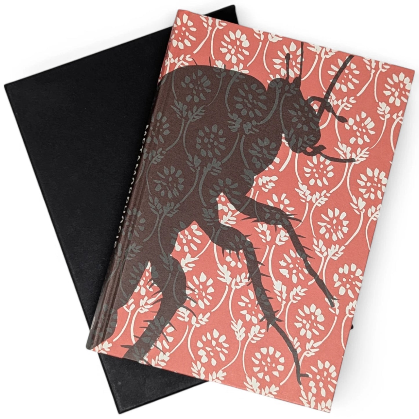 Metamorphosis and Other Stories