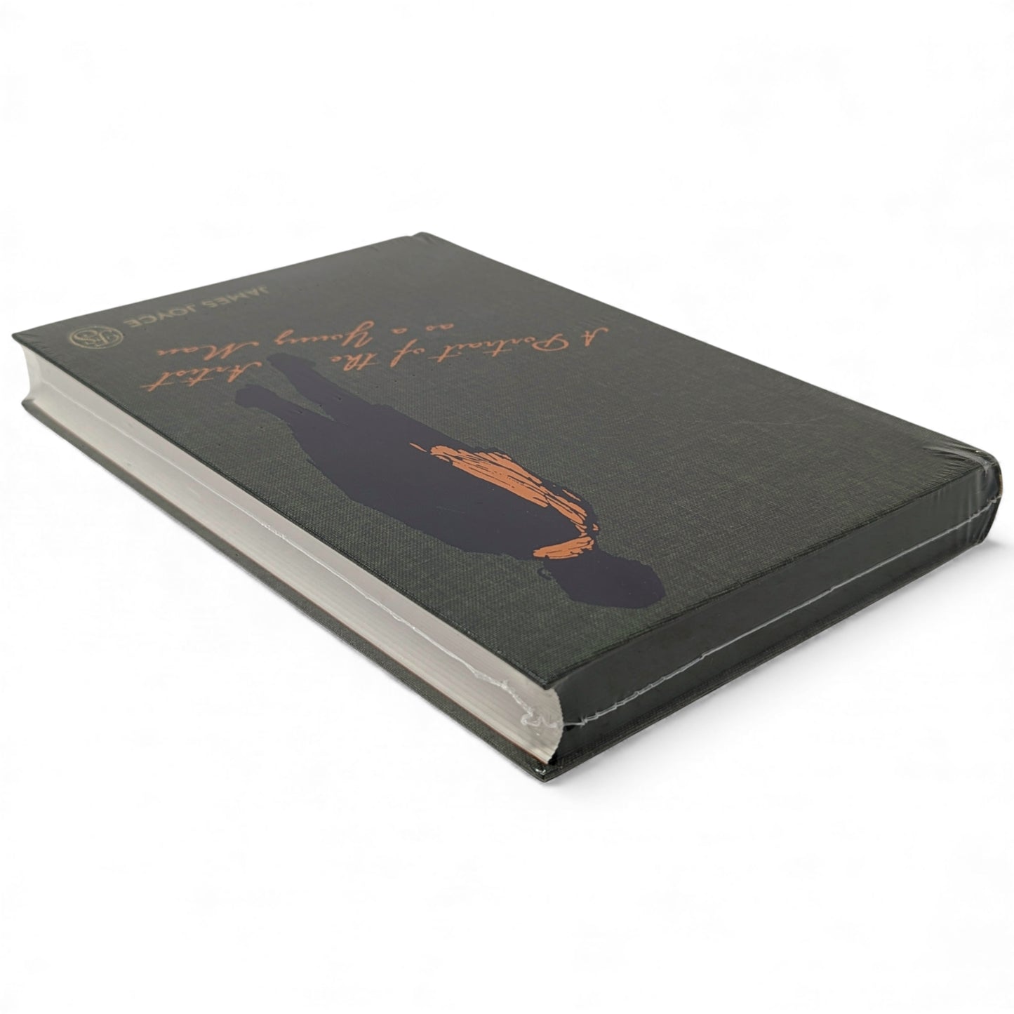 A Portrait of the Artist as a Young Man