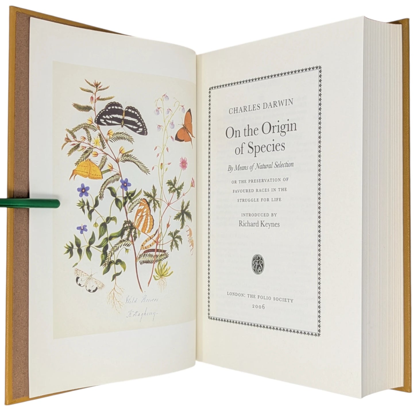 On the Origin of Species by Means of Natural Selection
