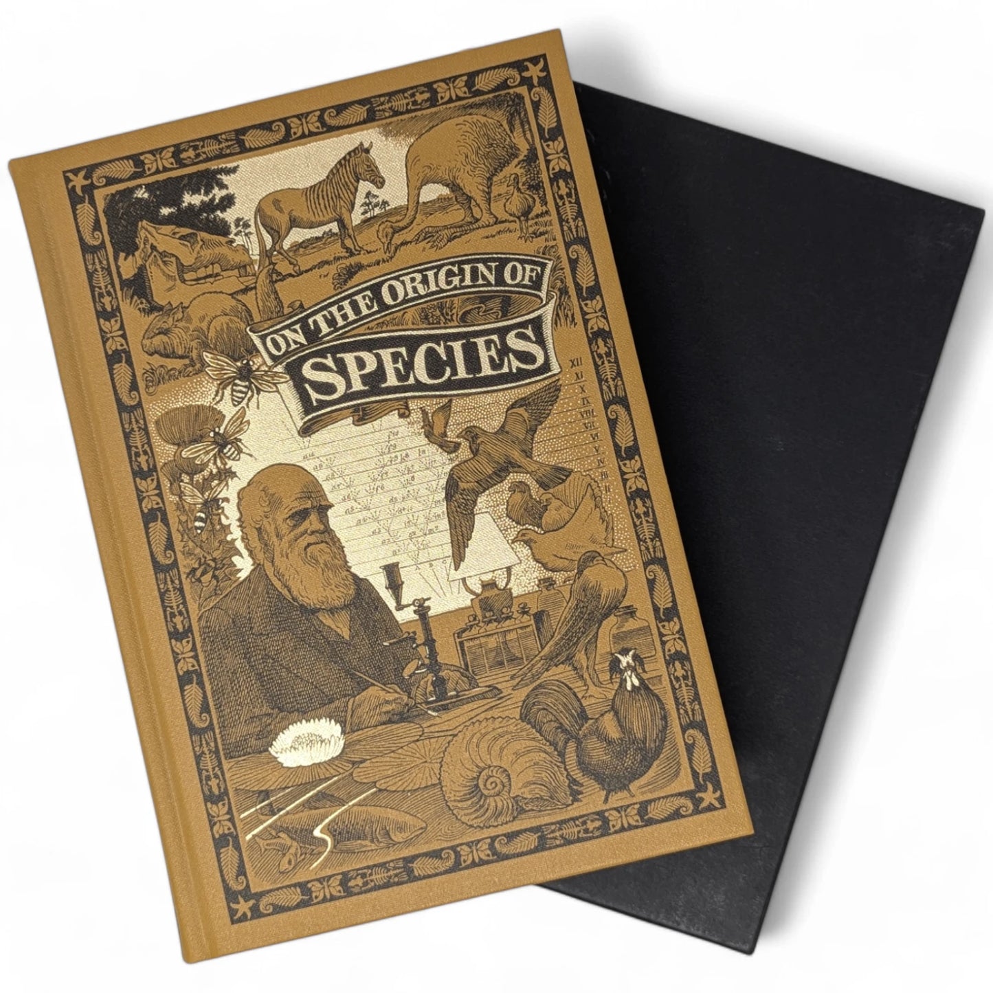 On the Origin of Species by Means of Natural Selection