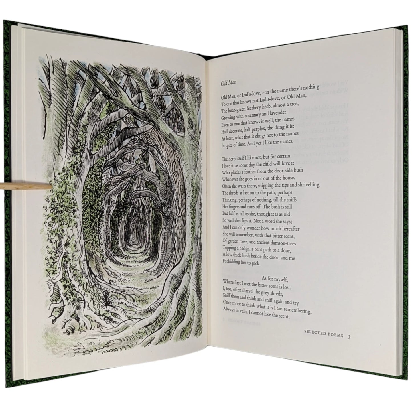 Selected War Poems from Rupert Brooke, Edward Thomas, Wilfred Owen