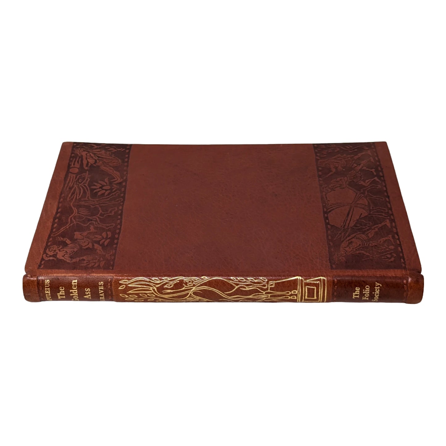 The Transformation of Lucius, Otherwise Known as The Golden Ass