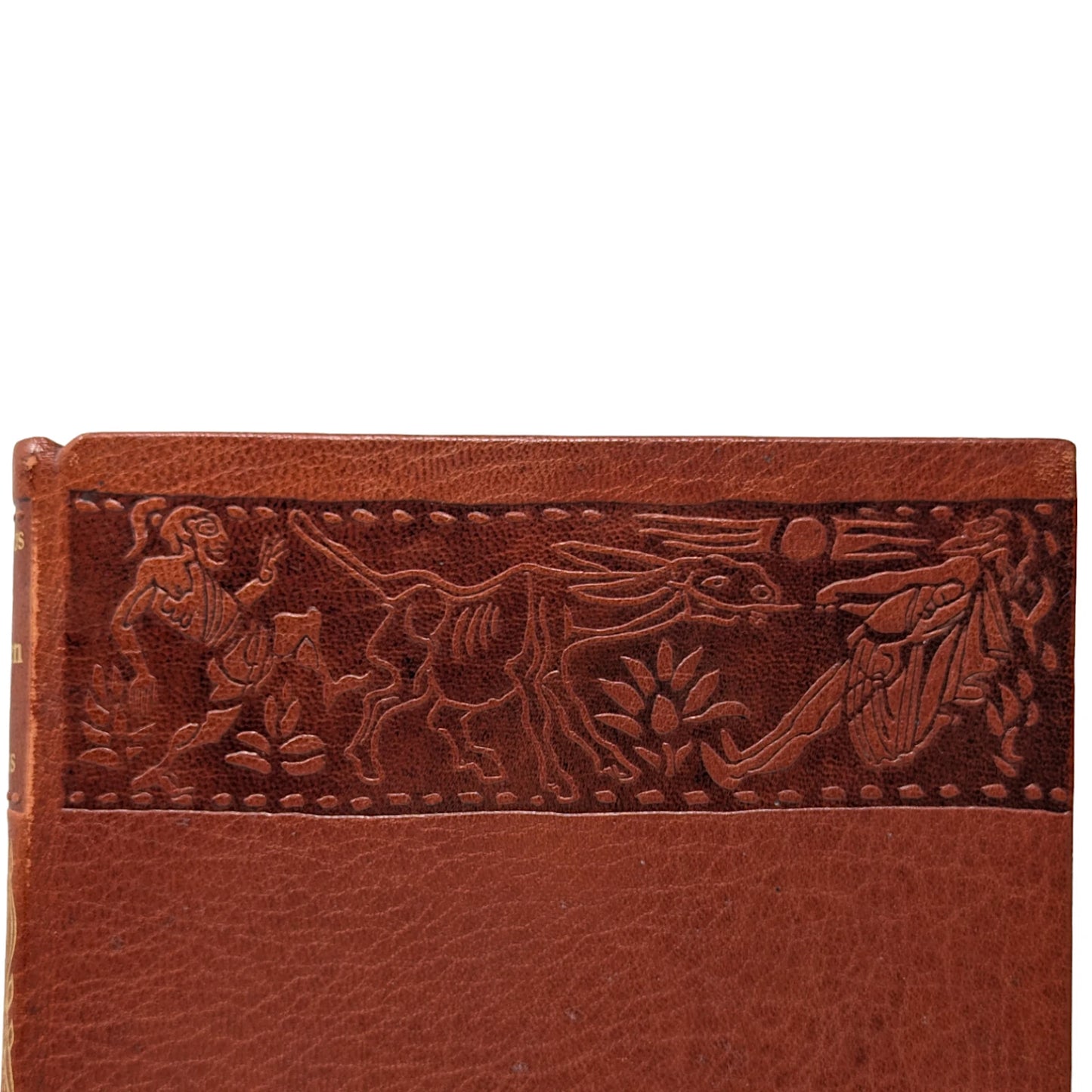 The Transformation of Lucius, Otherwise Known as The Golden Ass