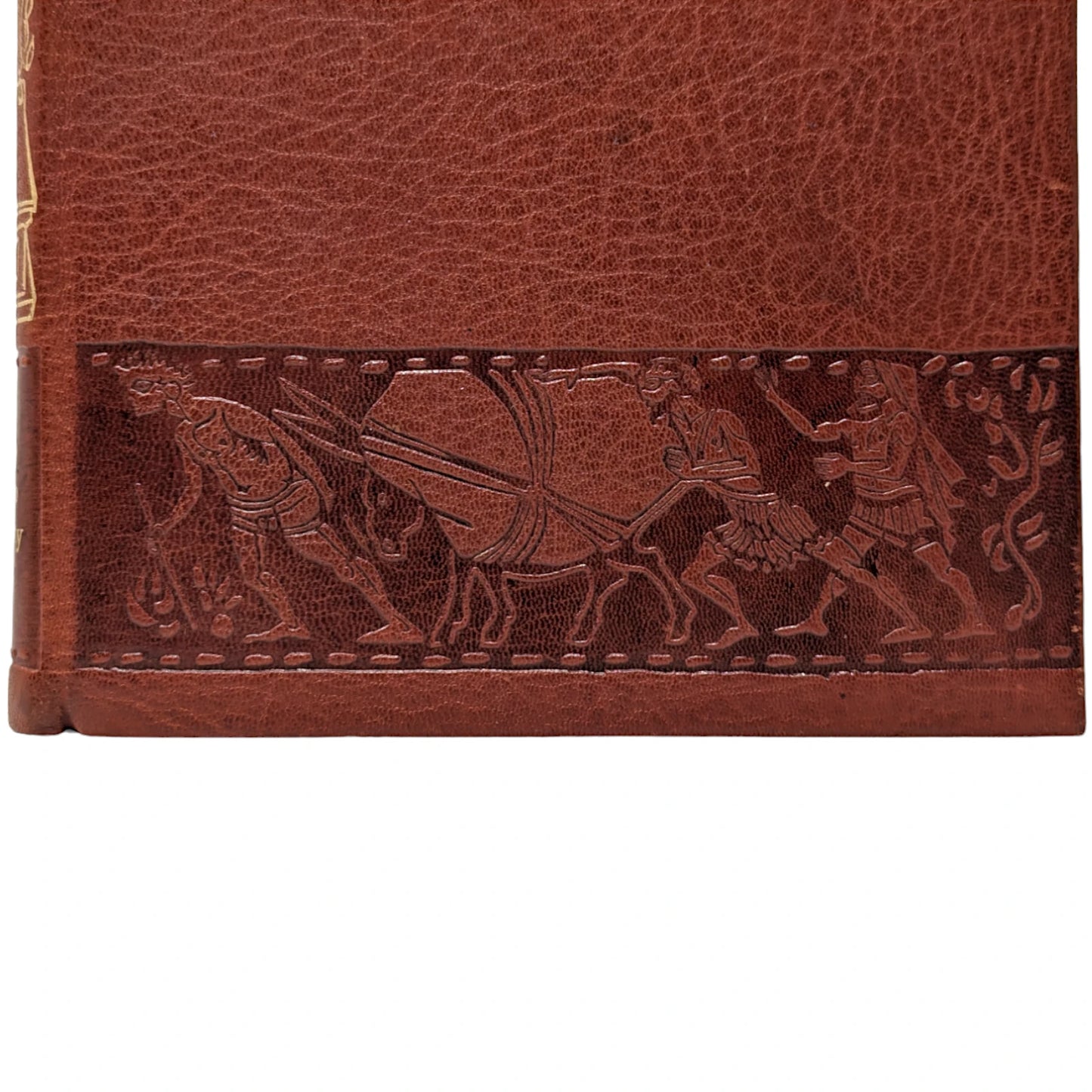 The Transformation of Lucius, Otherwise Known as The Golden Ass