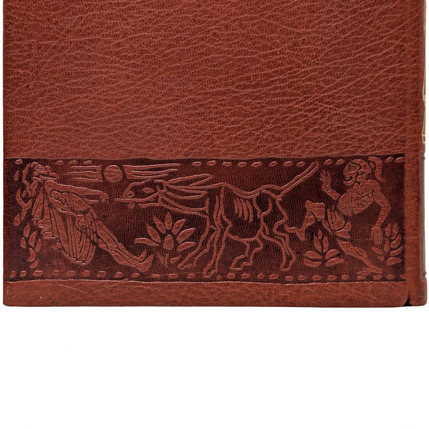 The Transformation of Lucius, Otherwise Known as The Golden Ass