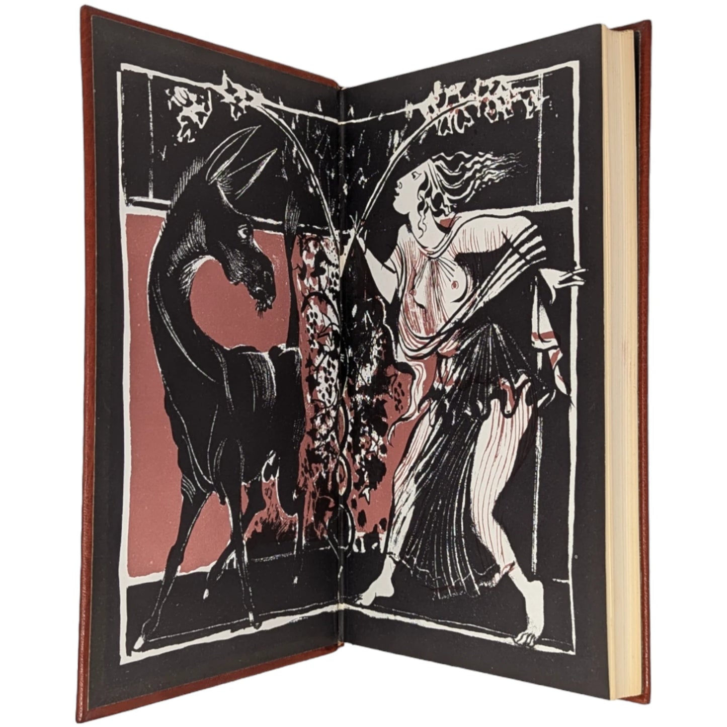 The Transformation of Lucius, Otherwise Known as The Golden Ass