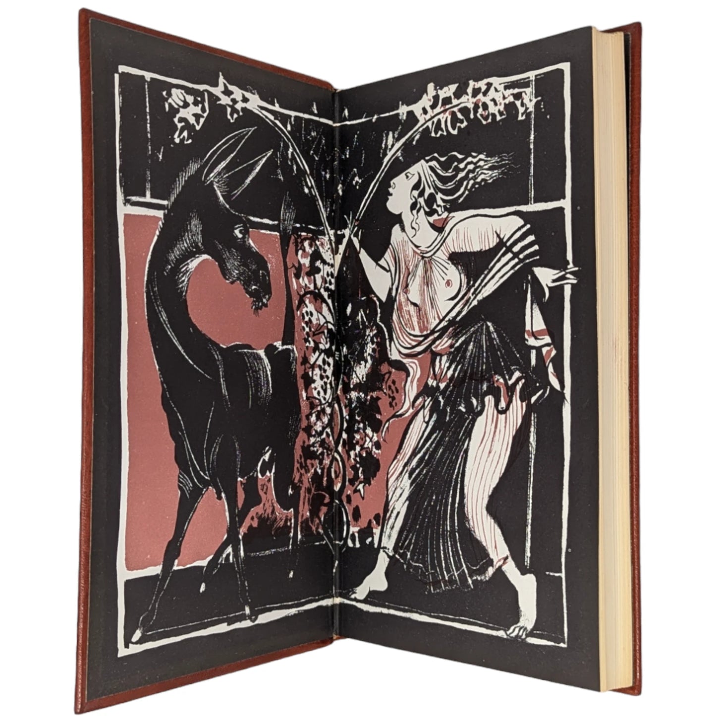 The Transformation of Lucius, Otherwise Known as The Golden Ass