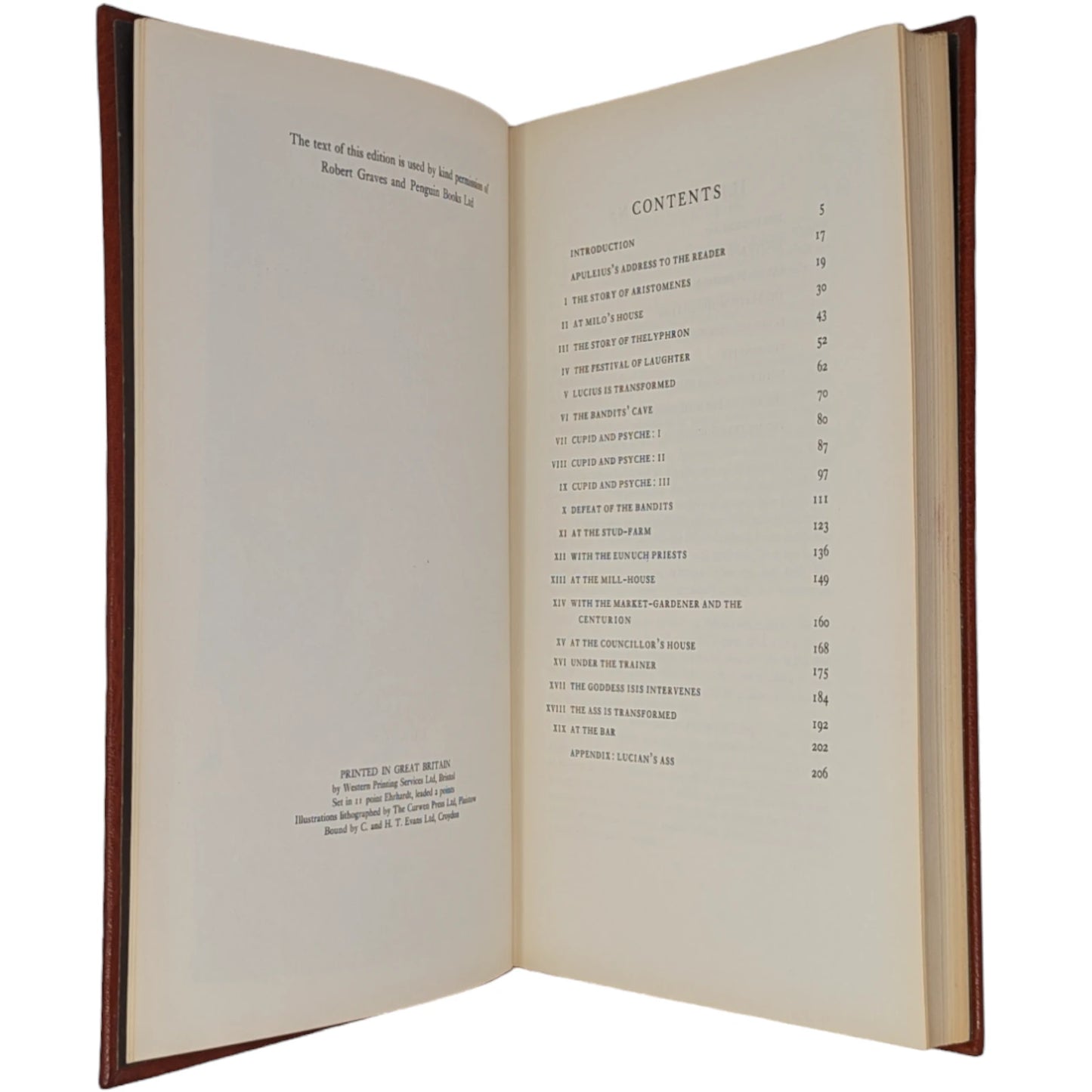 The Transformation of Lucius, Otherwise Known as The Golden Ass