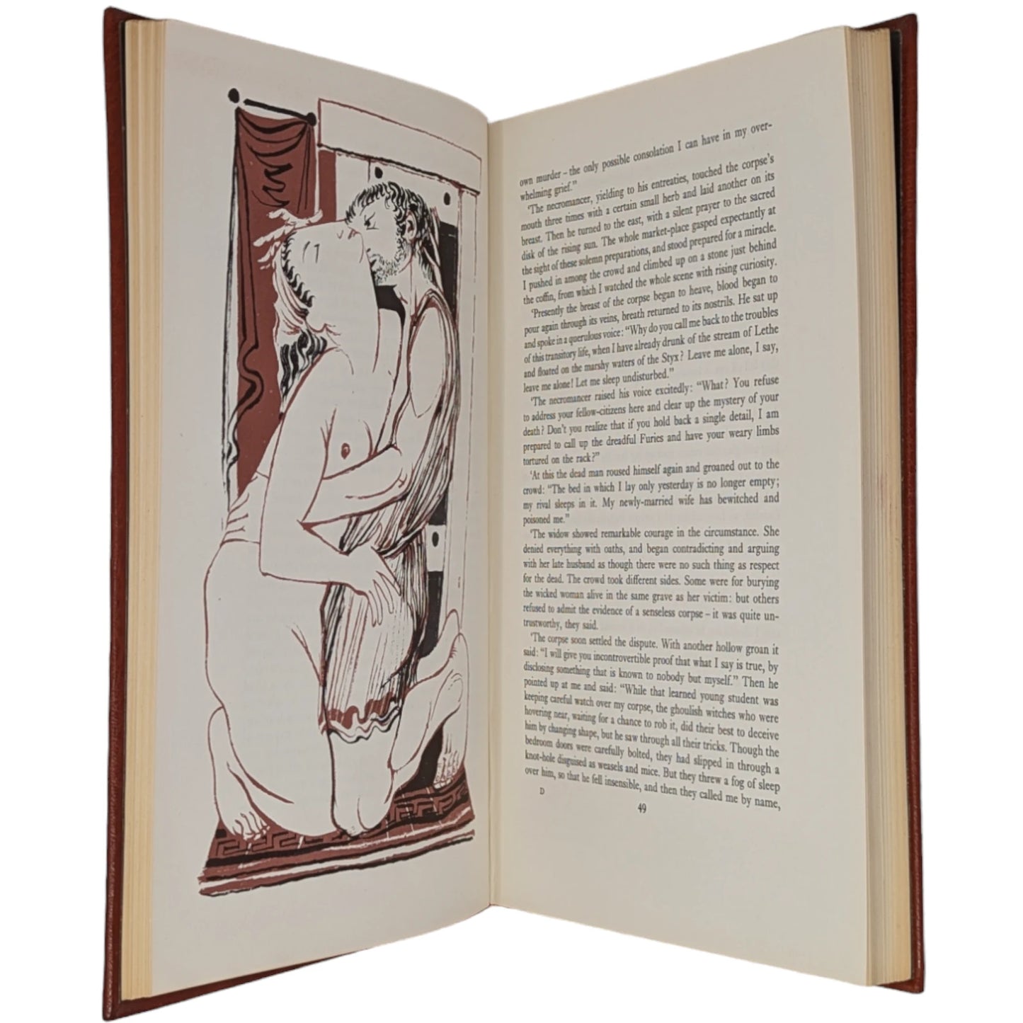 The Transformation of Lucius, Otherwise Known as The Golden Ass