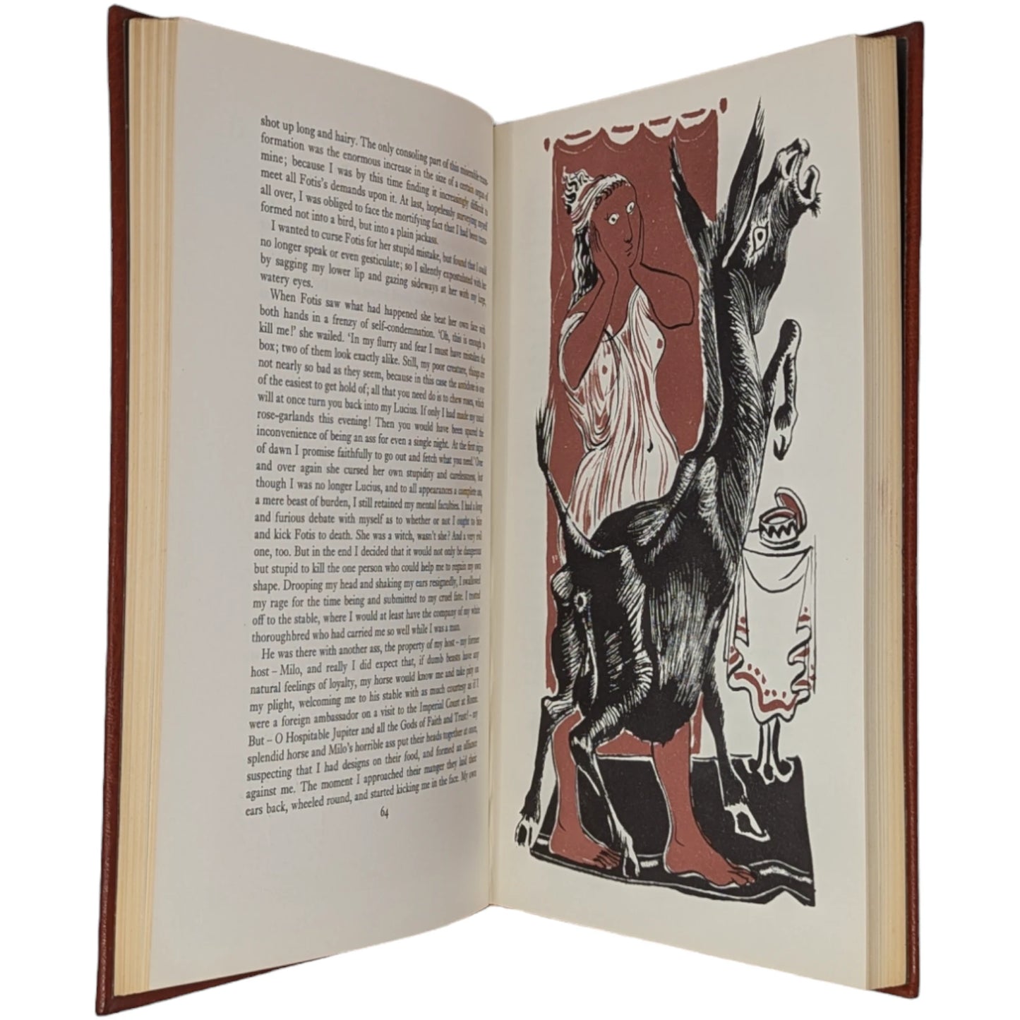 The Transformation of Lucius, Otherwise Known as The Golden Ass