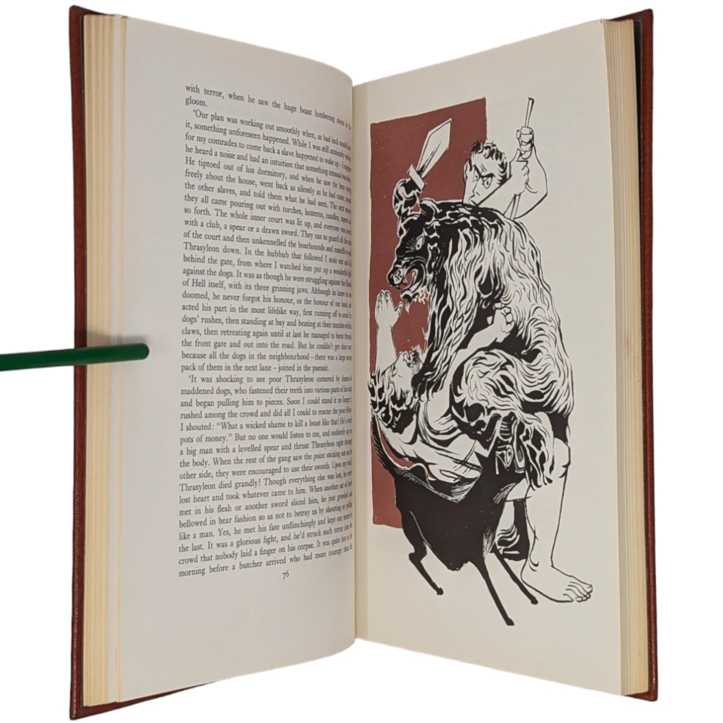 The Transformation of Lucius, Otherwise Known as The Golden Ass