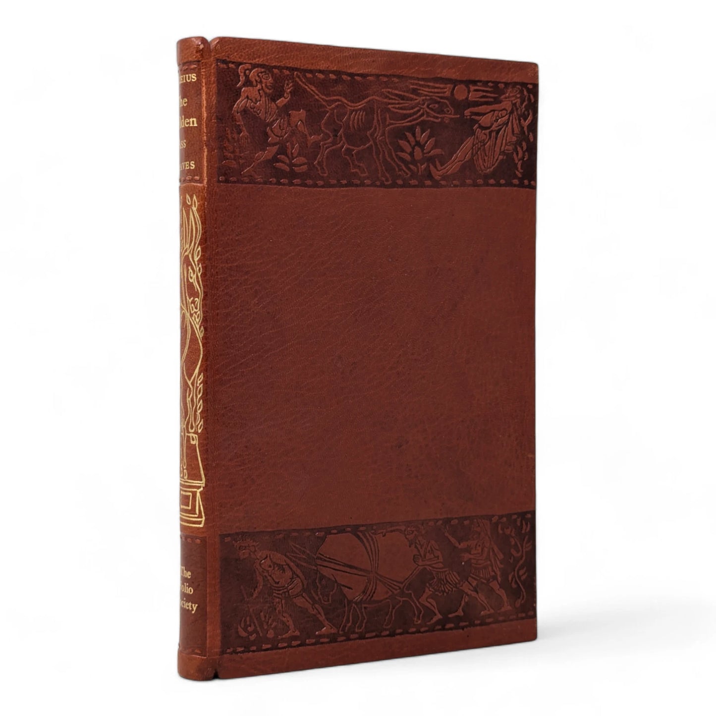 The Transformation of Lucius, Otherwise Known as The Golden Ass