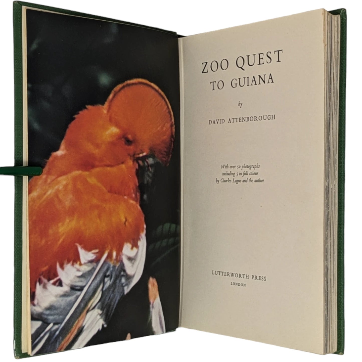 Zoo Quest to Guiana