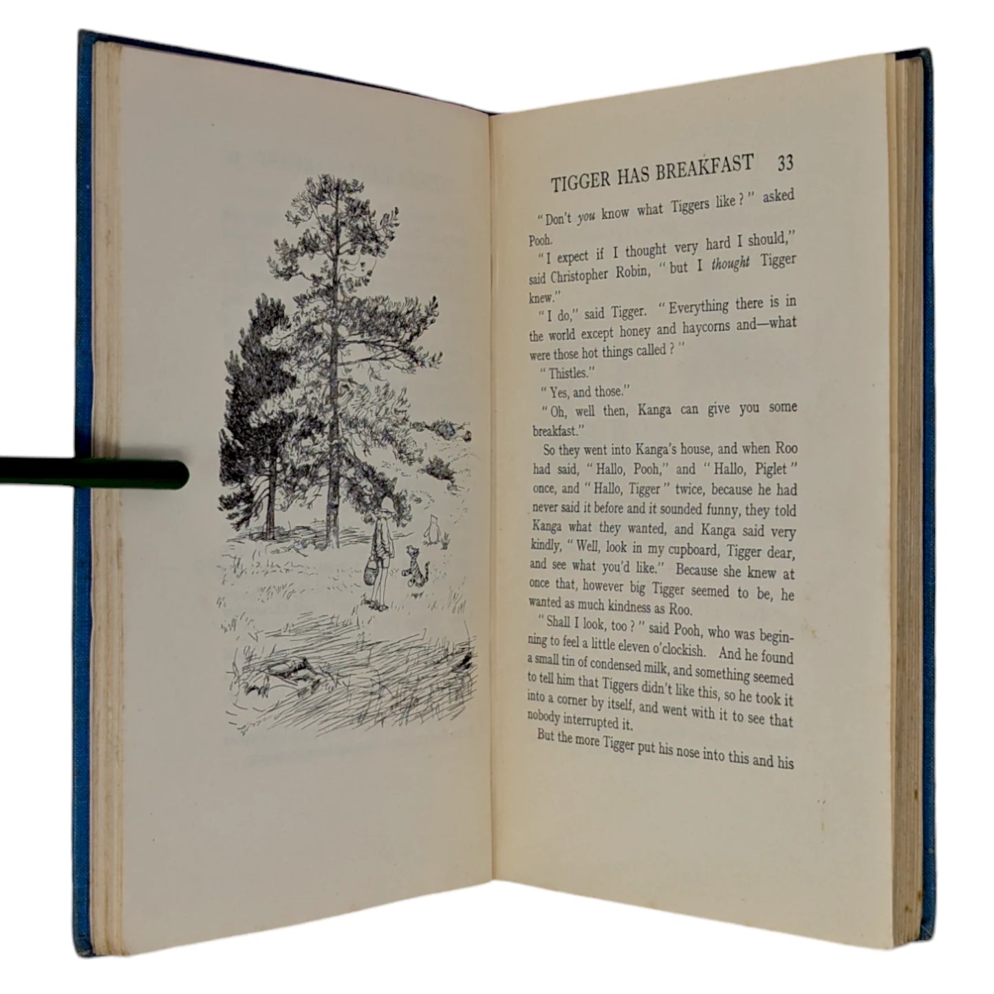 The House at Pooh Corner