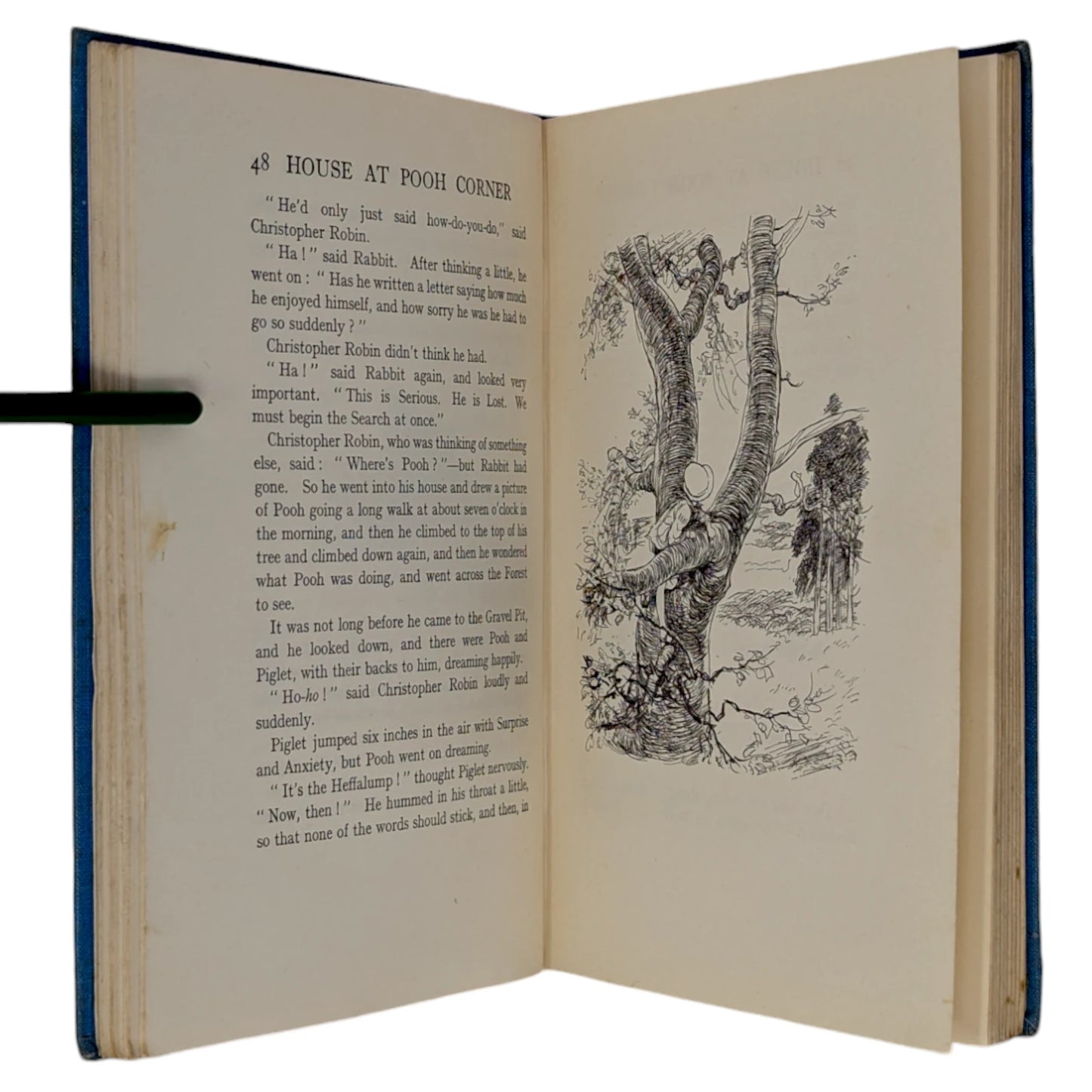 The House at Pooh Corner
