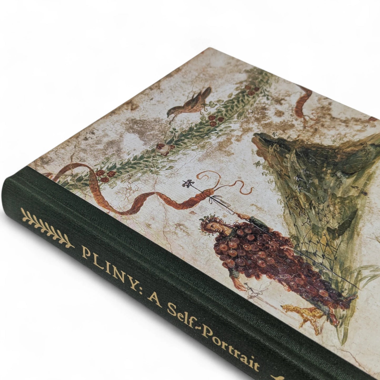 Pliny: A Self-Portrait in Letters