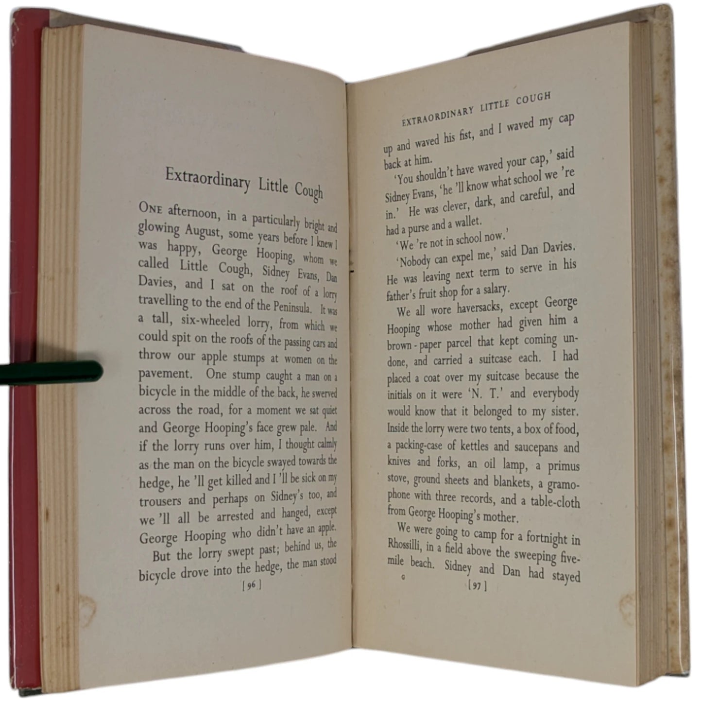 Portrait of the Artist as a Young Dog