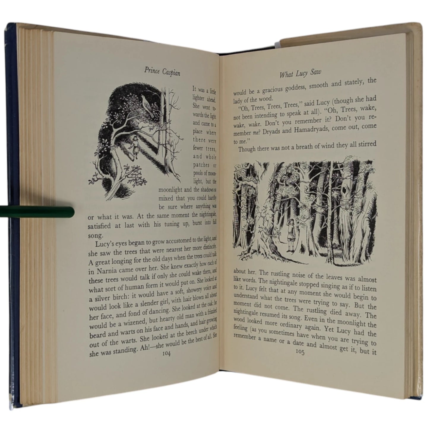 Prince Caspian (The Chronicles of Narnia)