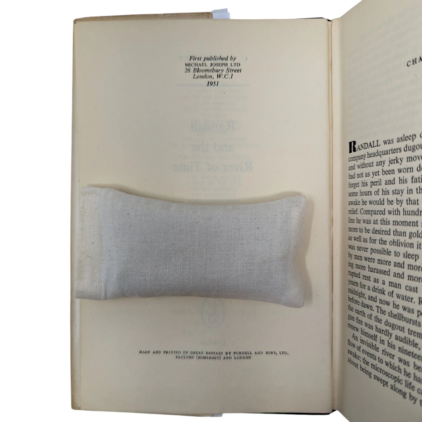 Randall and the River of Time