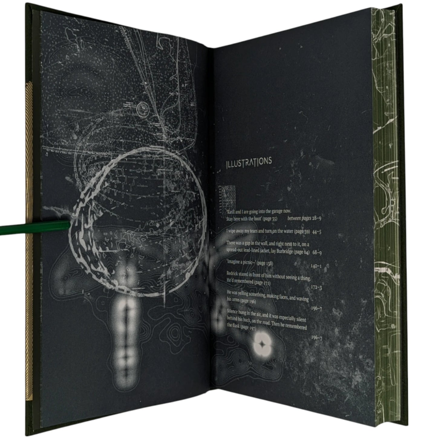 Roadside Picnic (Limited Edition)