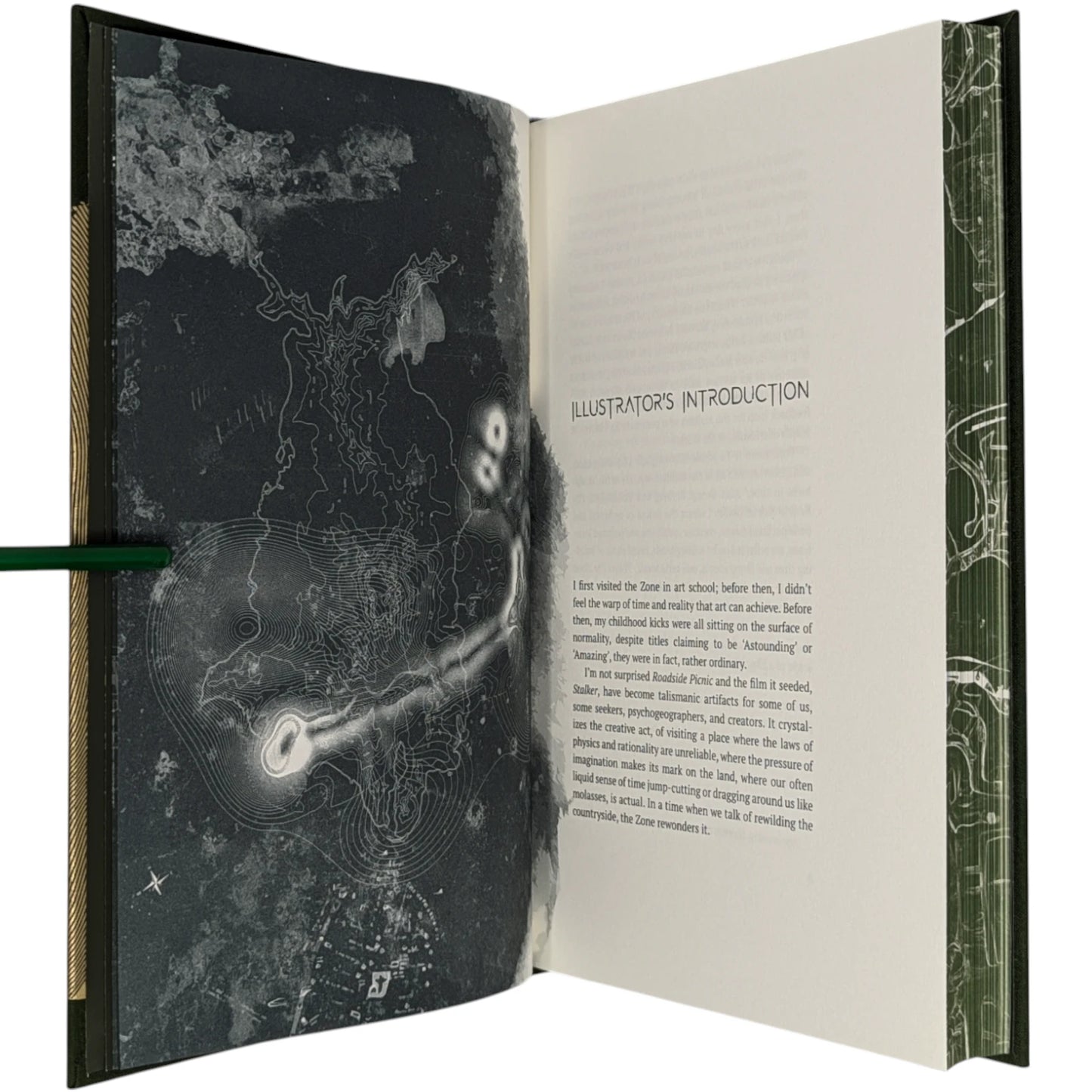 Roadside Picnic (Limited Edition)
