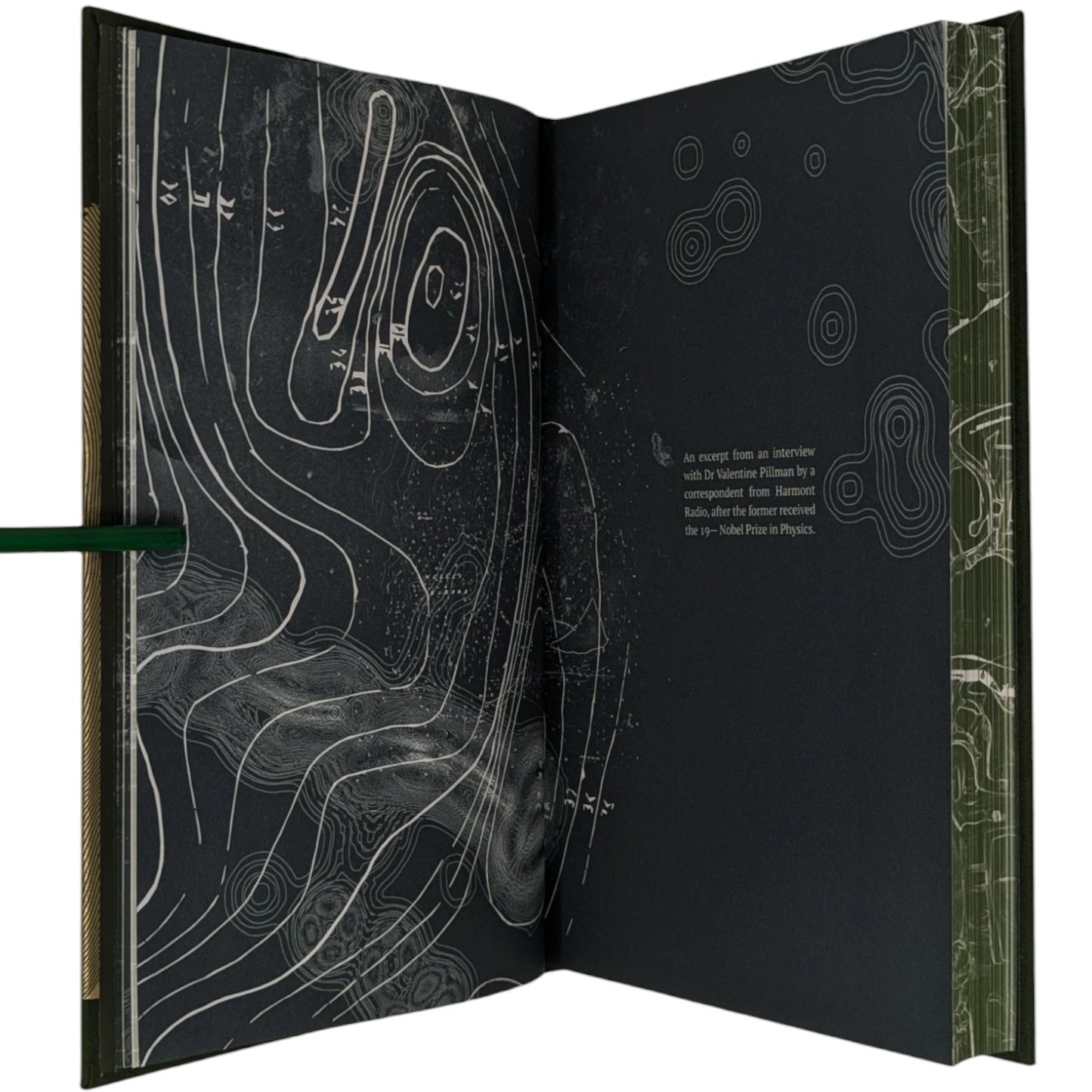 Roadside Picnic (Limited Edition)