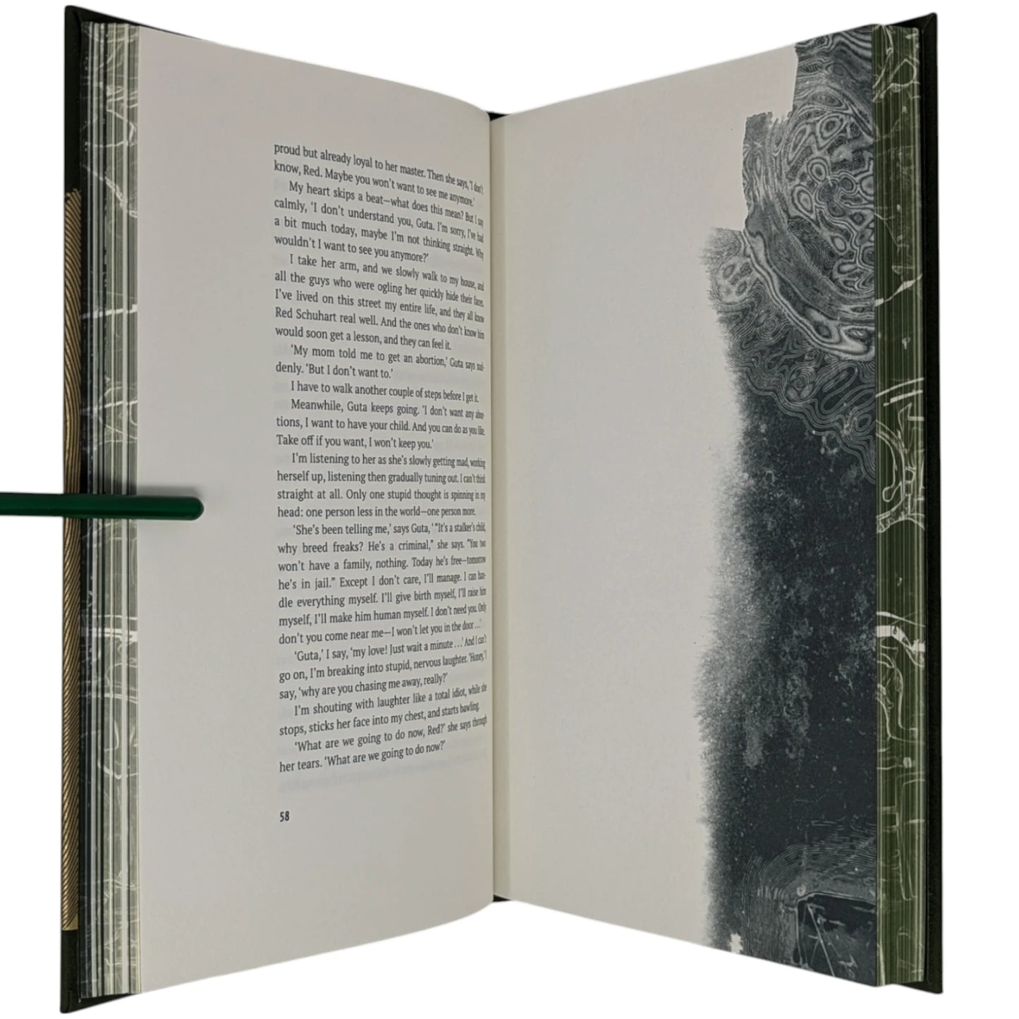Roadside Picnic (Limited Edition)