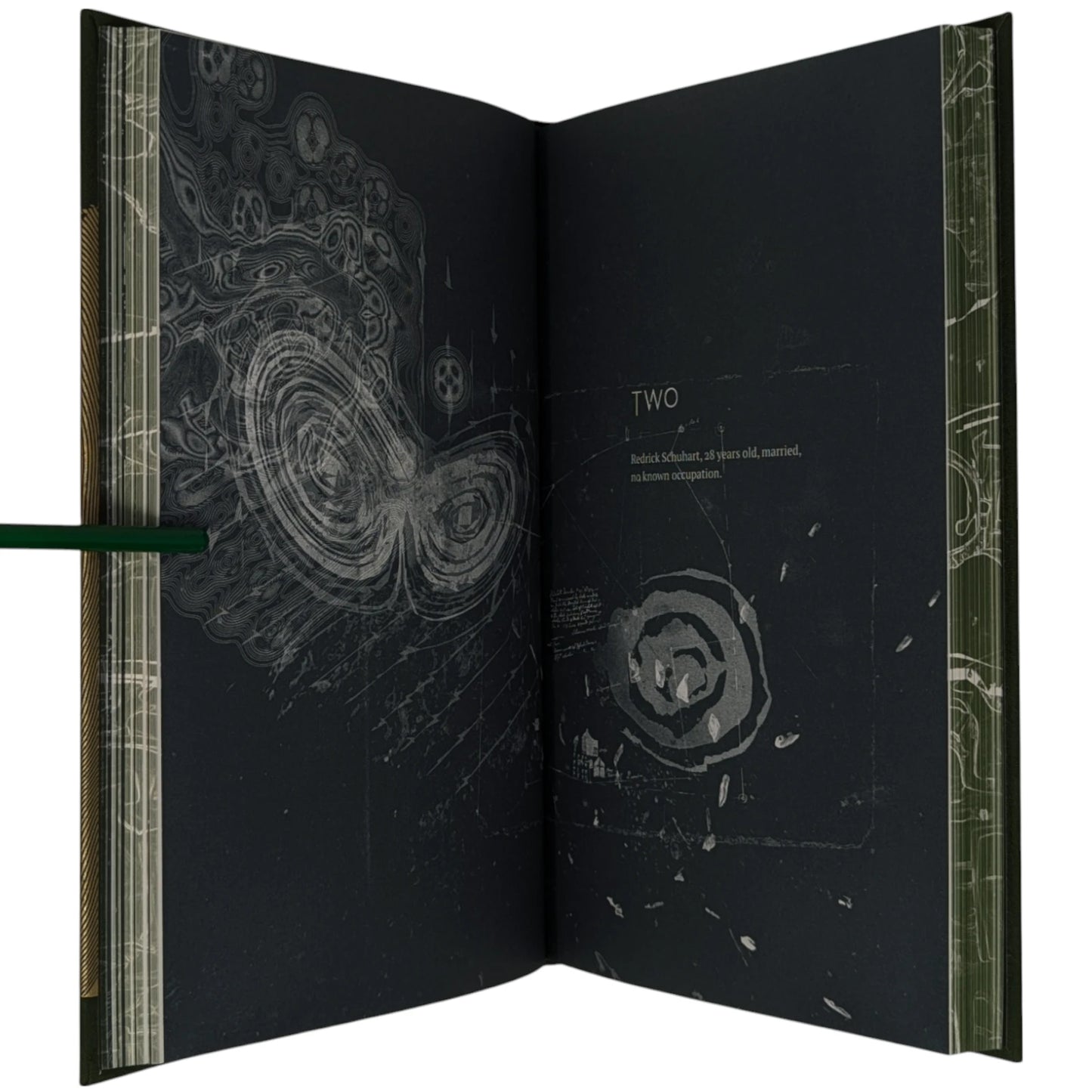 Roadside Picnic (Limited Edition)