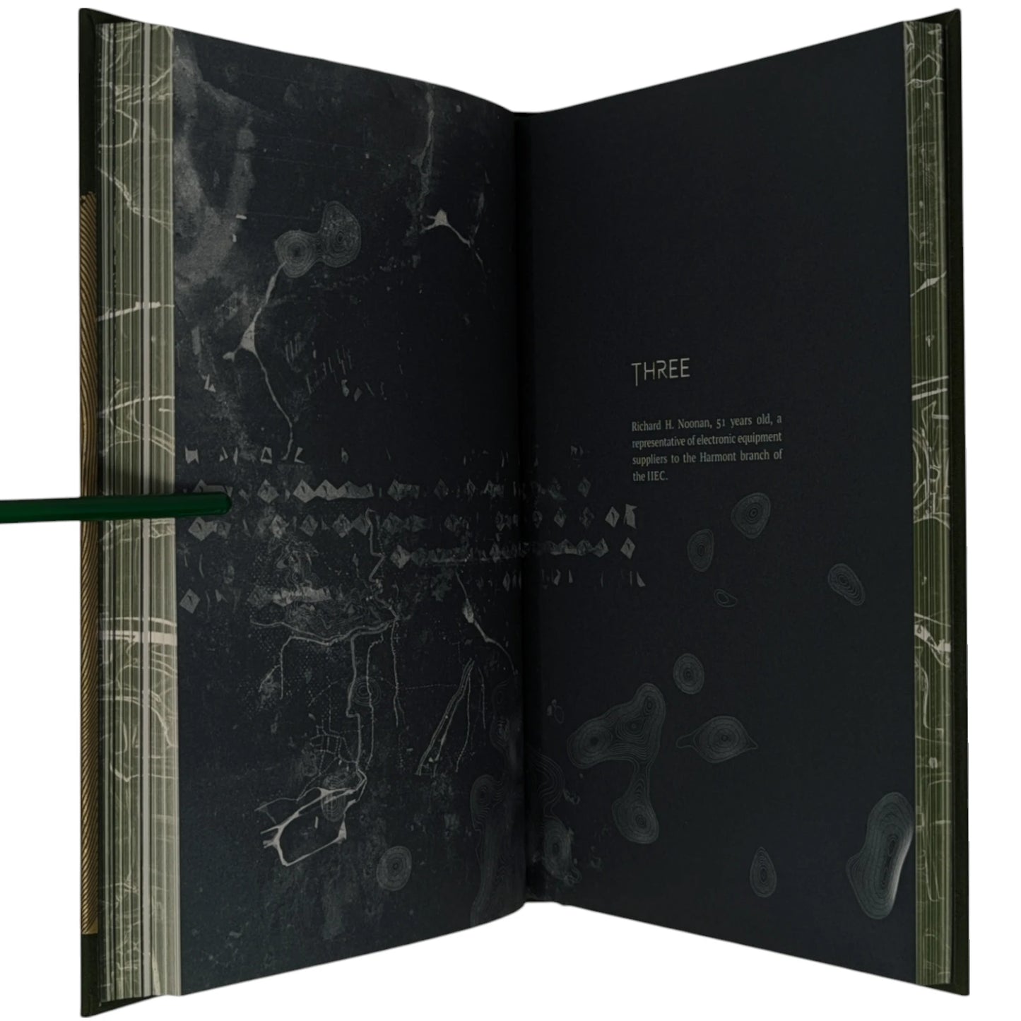 Roadside Picnic (Limited Edition)