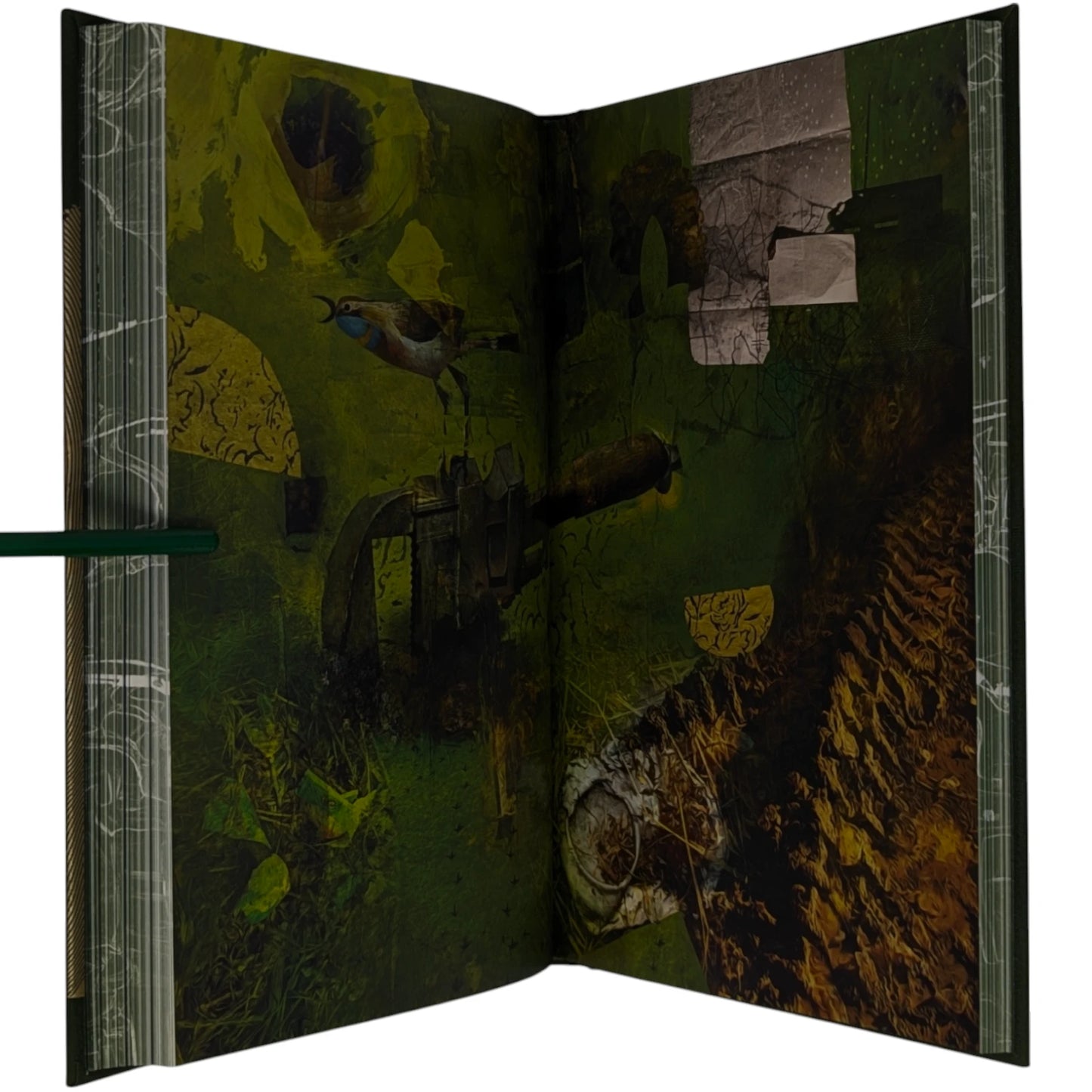 Roadside Picnic (Limited Edition)