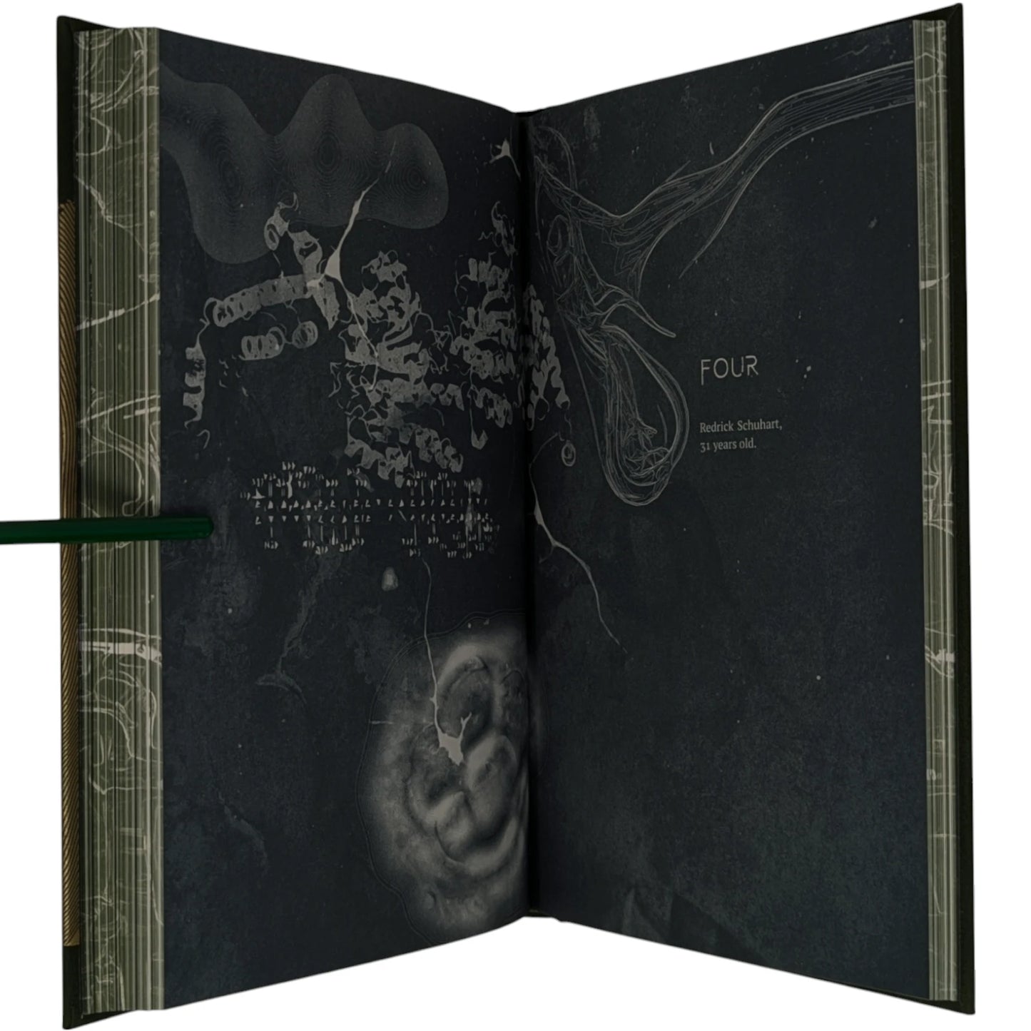 Roadside Picnic (Limited Edition)