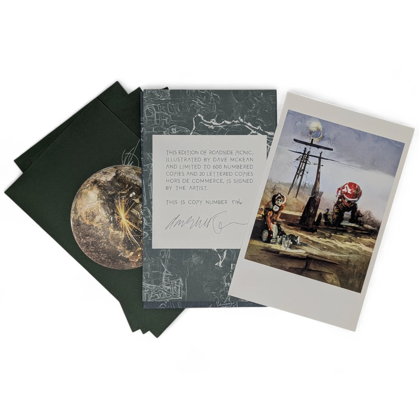 Roadside Picnic (Limited Edition)