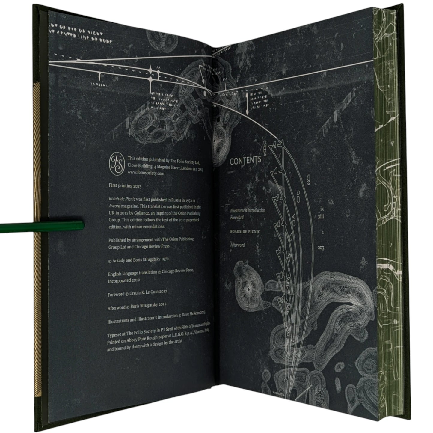 Roadside Picnic (Limited Edition)