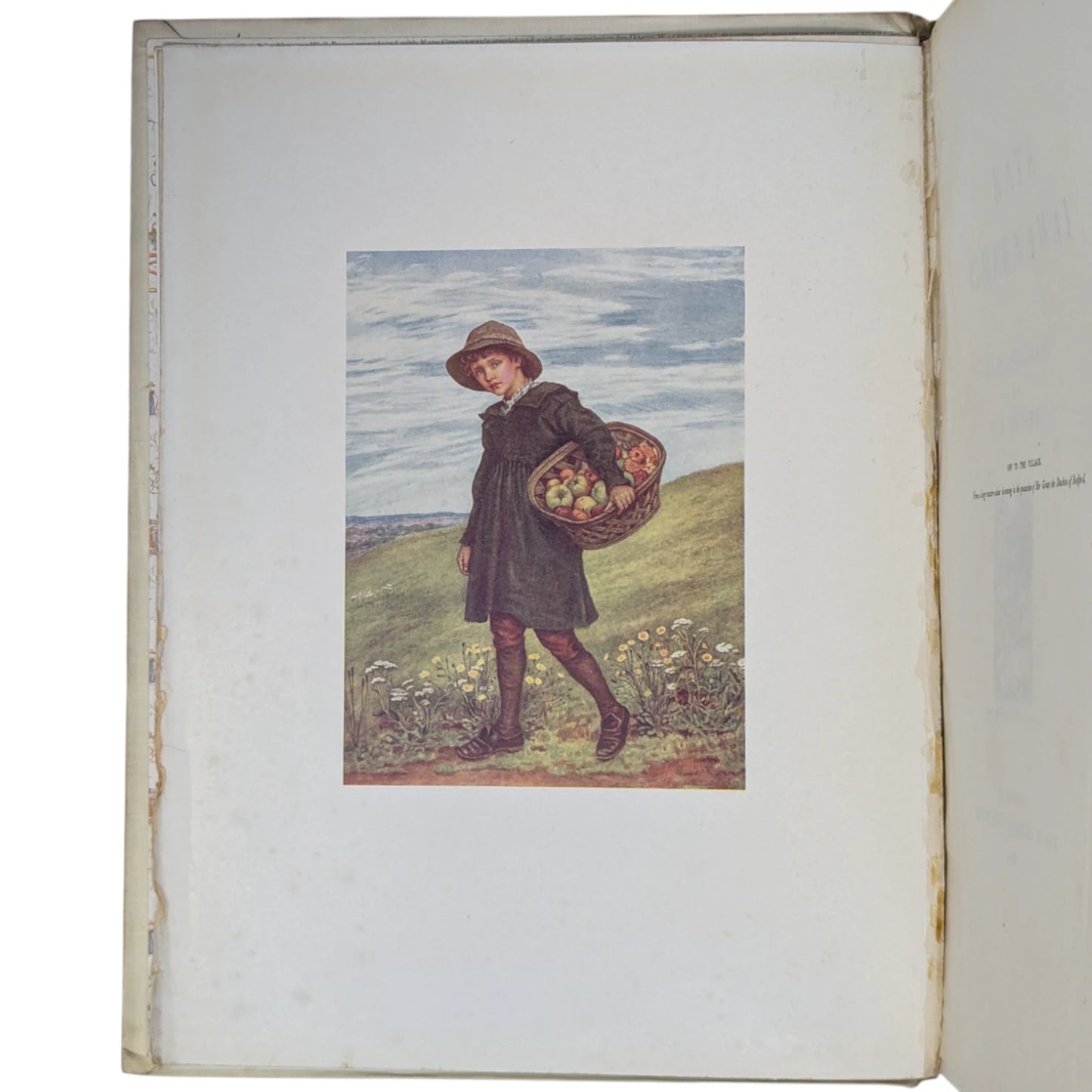 Kate Greenaway