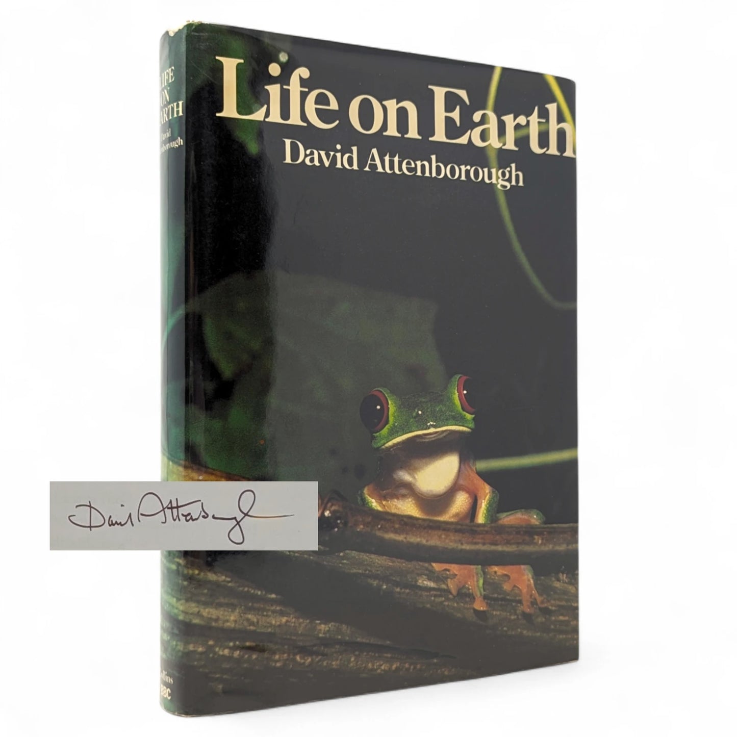 Life on Earth: A Natural History